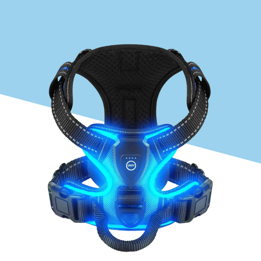 TrailBuddy™️ Glow Harness