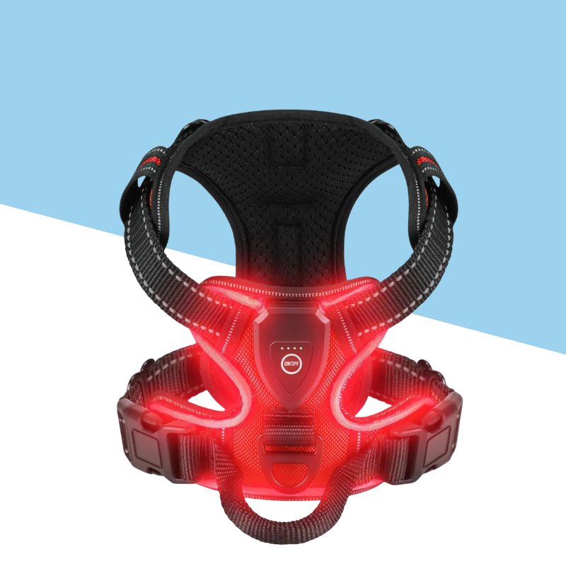 TrailBuddy™️ Glow Harness
