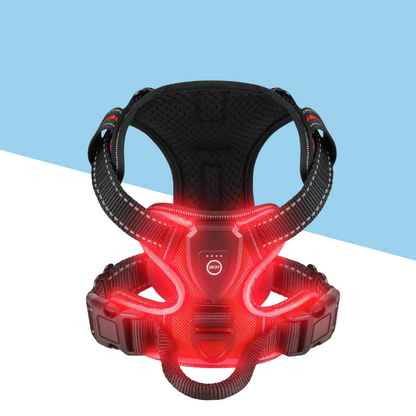 TrailBuddy™️ Glow Harness