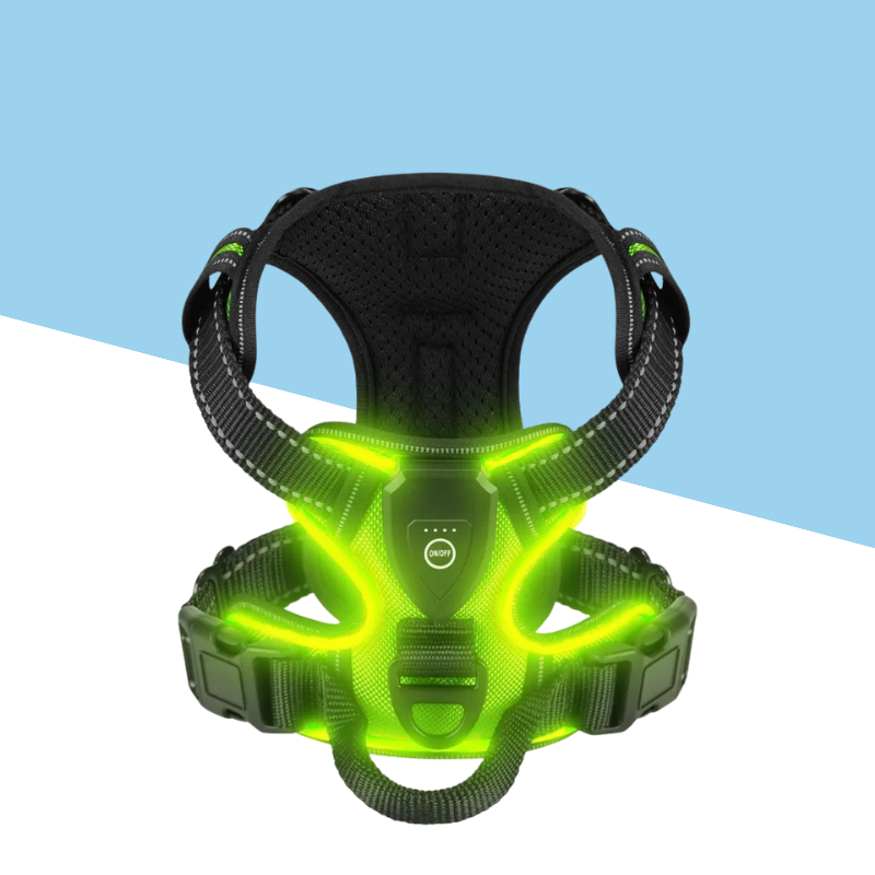 TrailBuddy™️ Glow Harness