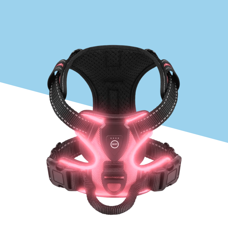 TrailBuddy™️ Glow Harness