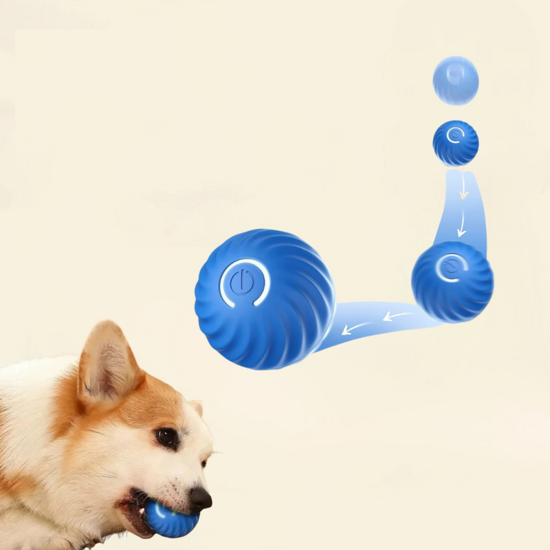 TrailBuddy™️ Automatic Rolling Dog Ball